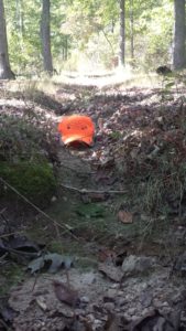 small gulley